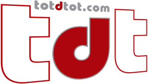 logo-tdt